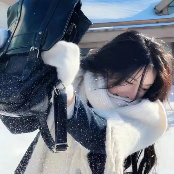 翼·年代记第一季